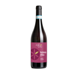 Nebbiolo d'Alba 2024