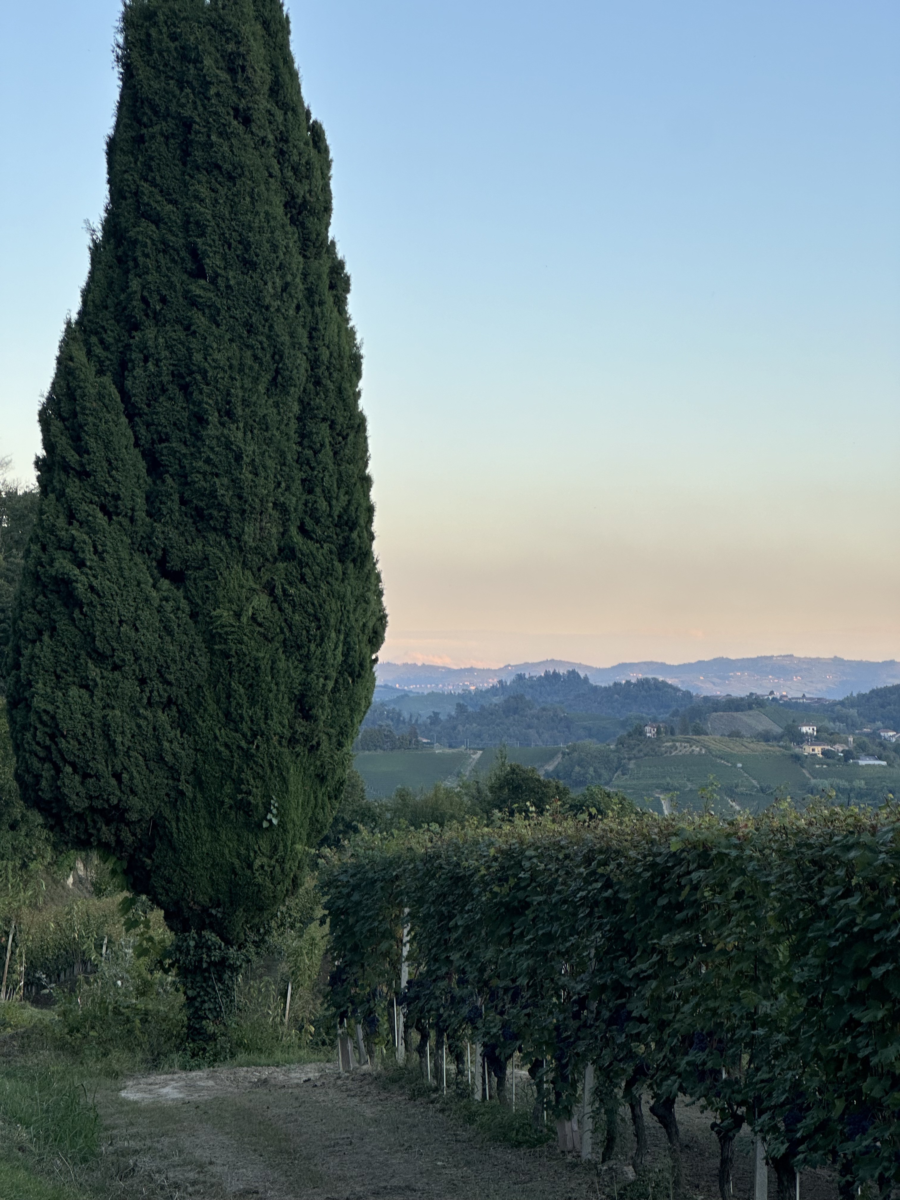 colline 